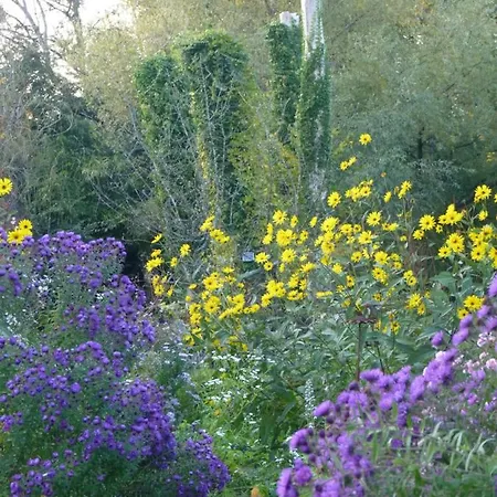 D'hotes, La Petite Madeleine * La Madelaine-sous-Montreuil
