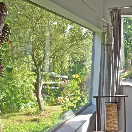 D'hotes, La Petite Madeleine *