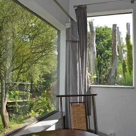 D'hotes, La Petite Madeleine *