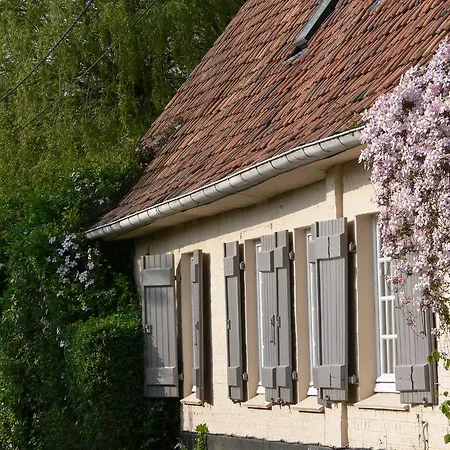 D'hotes, La Petite Madeleine *